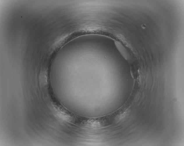 X0000066950640200603271208