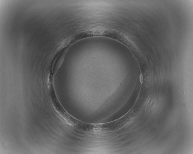 X0000066950641200603271208