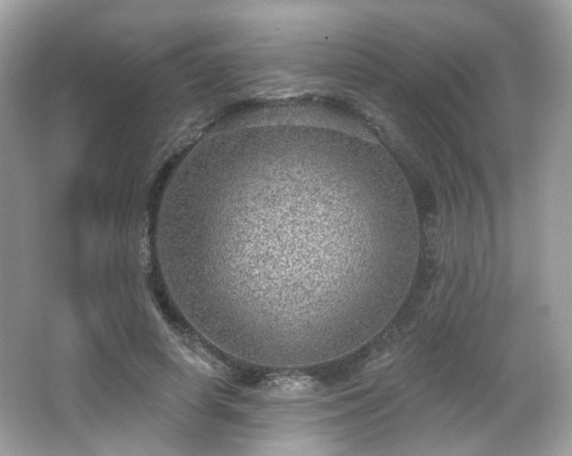 X0000066950642200603271208