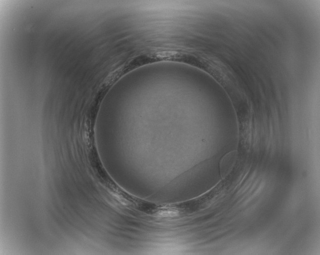 X0000066950653200603271208