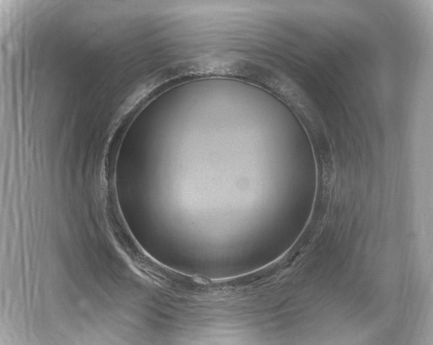 X0000066950674200603271207