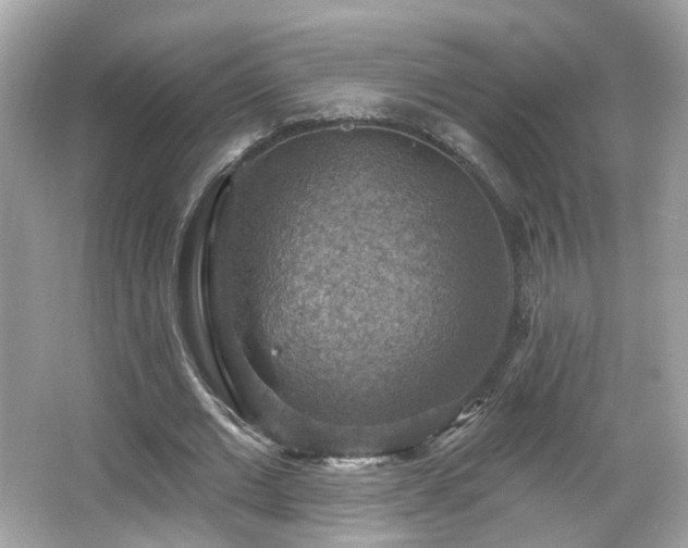 X0000066950677200603271207