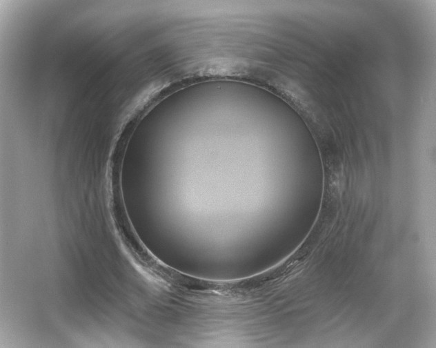 X0000066950678200603271207