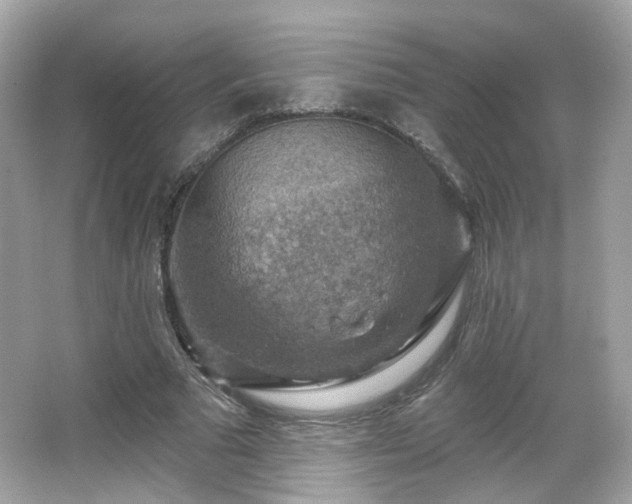 X0000066950681200603271207