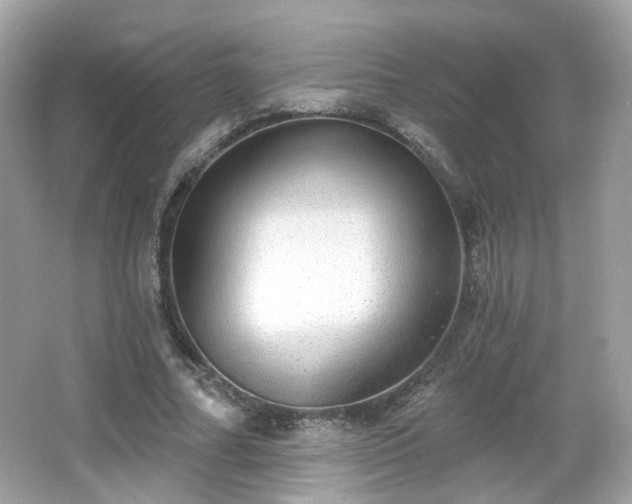 X0000066950682200603271207
