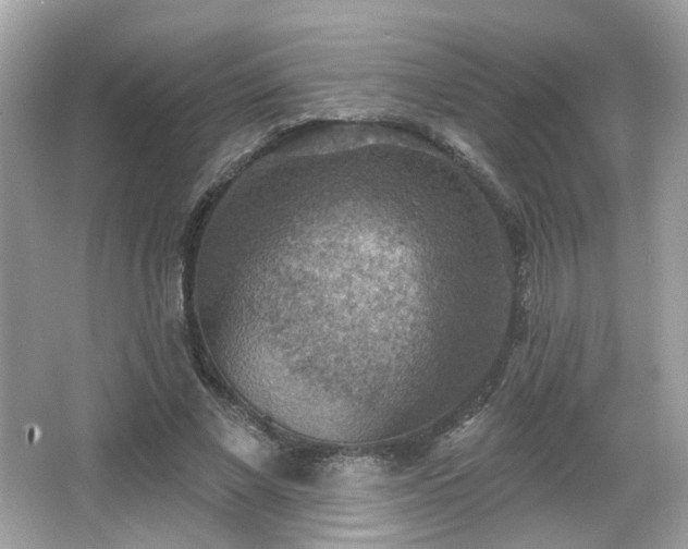 X0000066950685200603271207