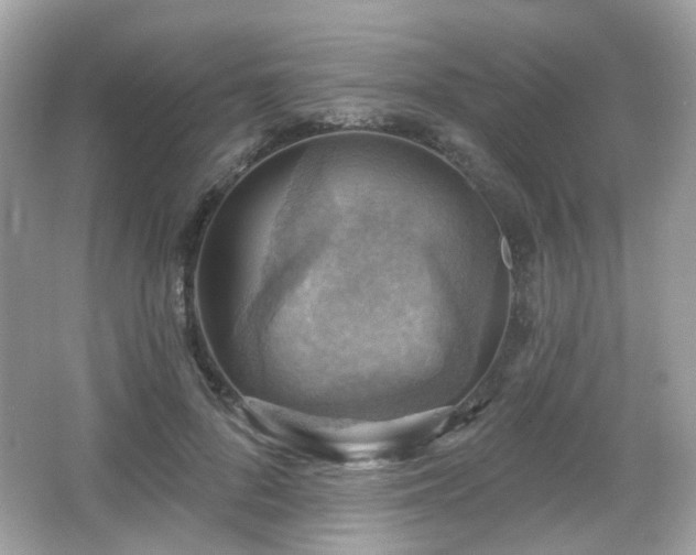 X0000066950696200603271207