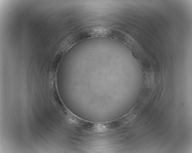 X0000066950701200603271207