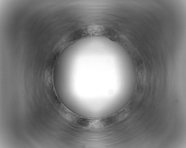 X0000066950705200603271207