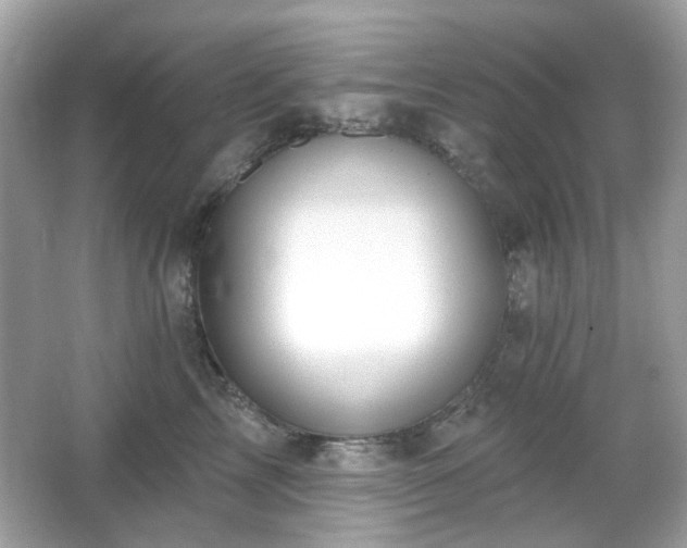 X0000066950713200603271207