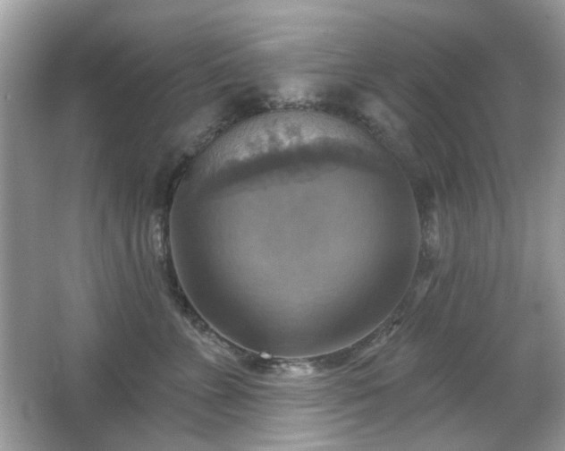 X0000066950715200603271207