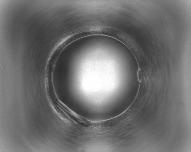 X0000066950728200603271206