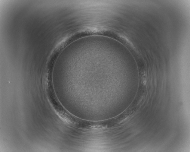 X0000066950736200603271206