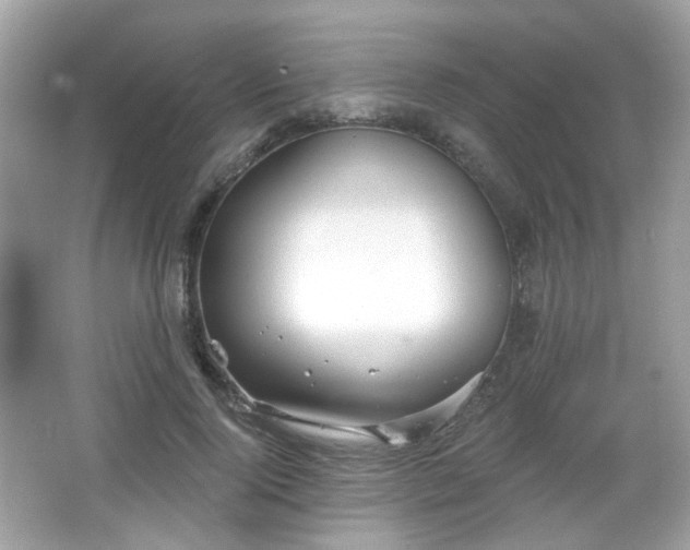 X0000066950740200603271206