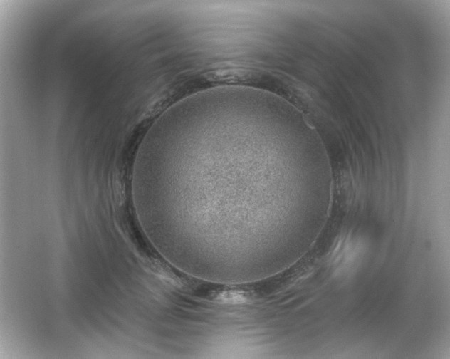 X0000066950751200603271206