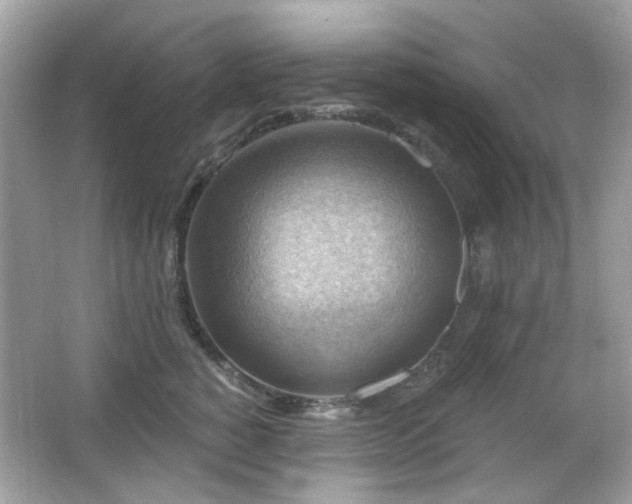 X0000066950760200603271206