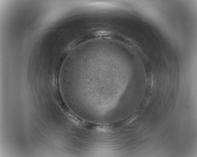X0000066950763200603271207