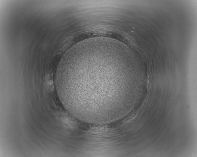 X0000066950771200603271206