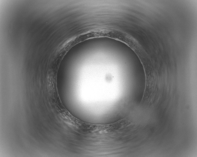 X0000066950773200603271206
