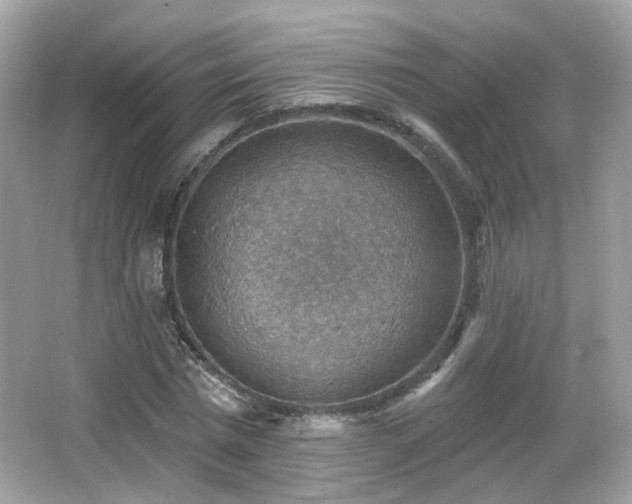 X0000066950777200603271206