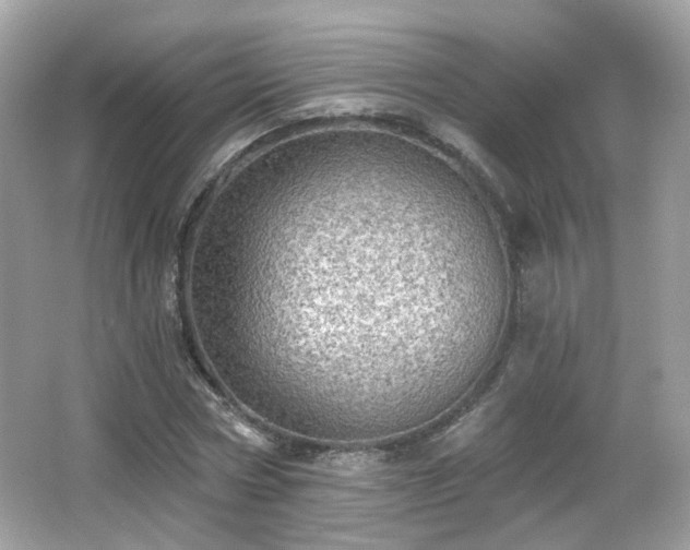 X0000066950778200603271206