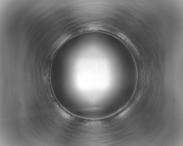 X0000066950801200603271205
