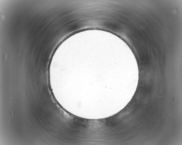 X0000066950807200603271205