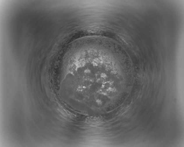 X0000066950817200603271204