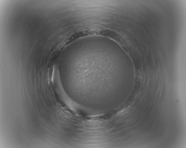 X0000066950818200603271204