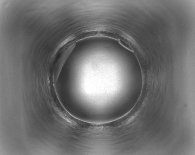 X0000066950826200603271204
