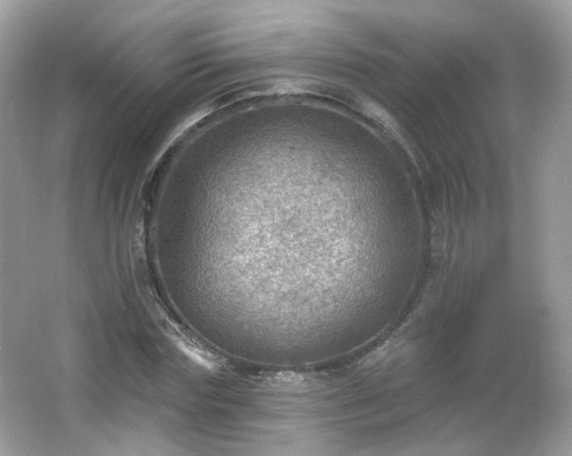 X0000066950827200603271204