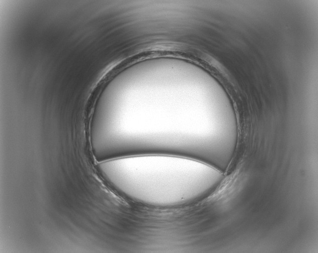 X0000066950829200603271204