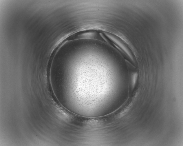 X0000066950834200603271204