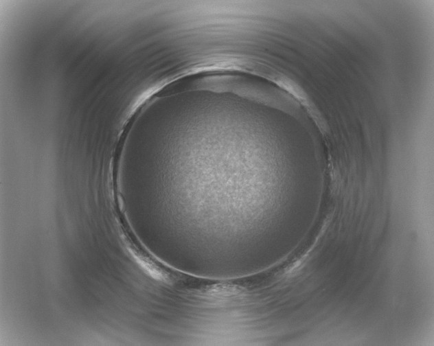 X0000066950842200603271205