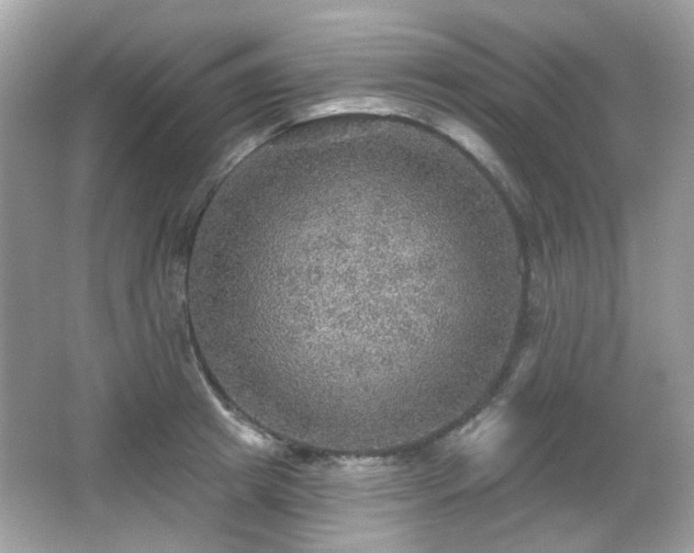 X0000066950849200603271205