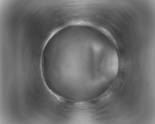 X0000066950863200603271205