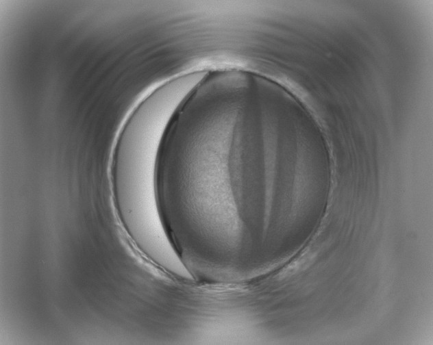 X0000066950864200603271205