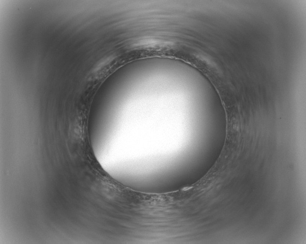 X0000066950869200603271204