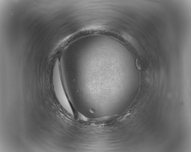 X0000066950872200603271204