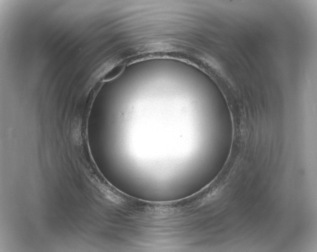 X0000066950873200603271204