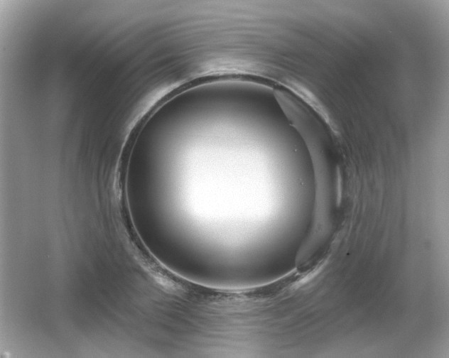 X0000066950885200603271204