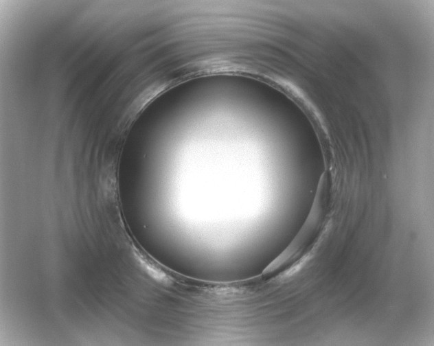 X0000066950897200603271204
