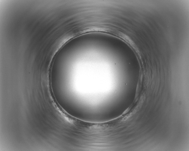 X0000066950898200603271204