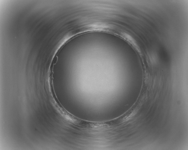 X0000066950899200603271204