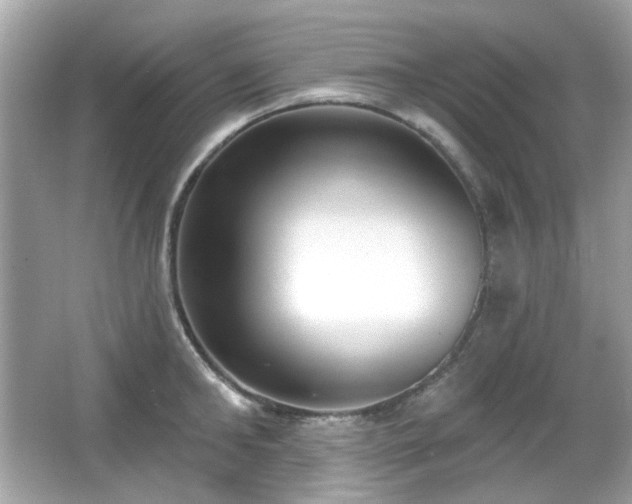X0000066950902200603271204