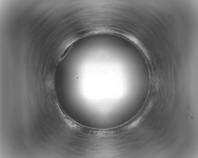 X0000066950905200603271203