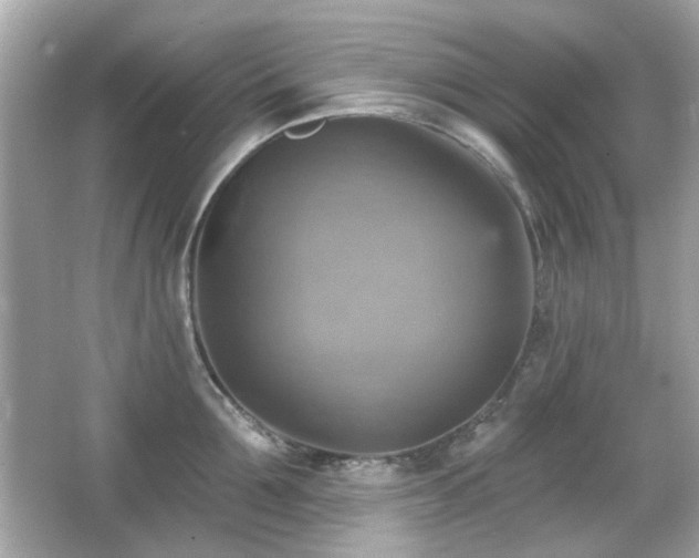 X0000066950907200603271203