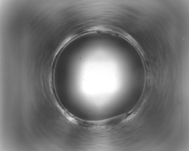 X0000066950909200603271203