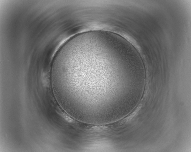 X0000066950912200603271203