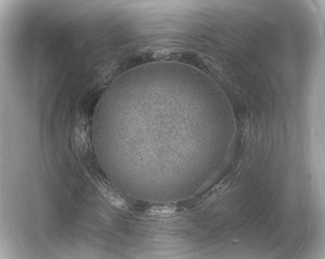 X0000066950914200603271203